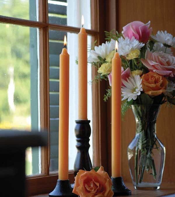 rootcandles_Arista_beau_41