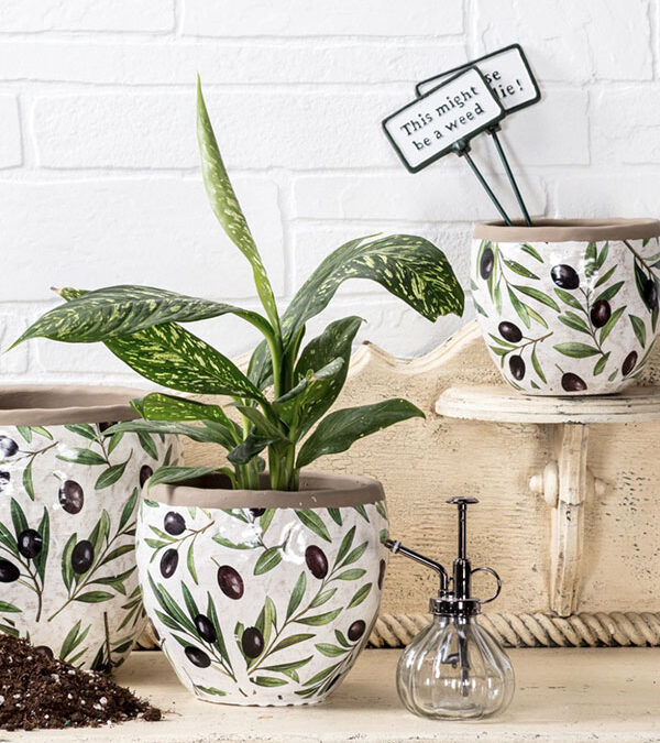 the-abbott-collection-2026-olive-pottery