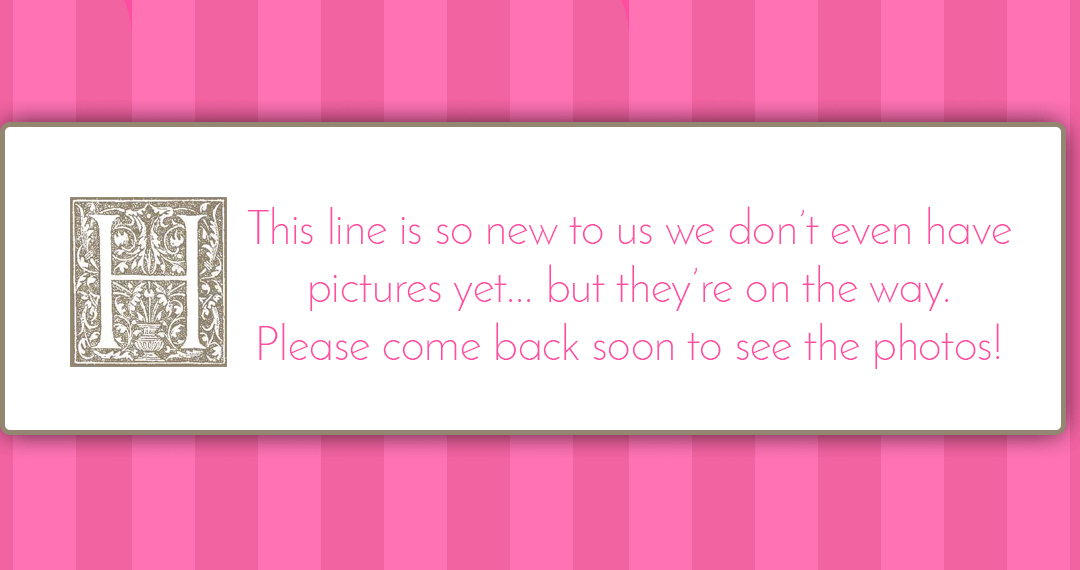 vendors slider – no photos