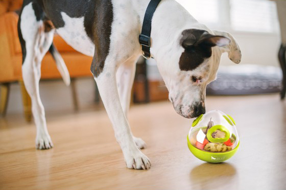pet play wobble ball dog toy